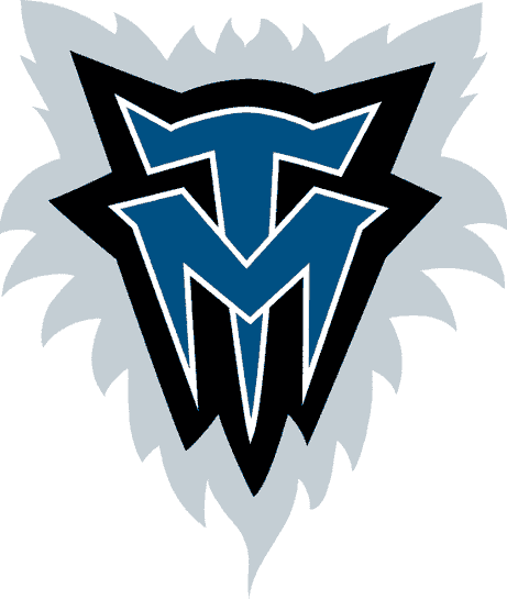 Minnesota Timberwolves 1996-2008 Alternate Logo iron on transfers for T-shirts version 2